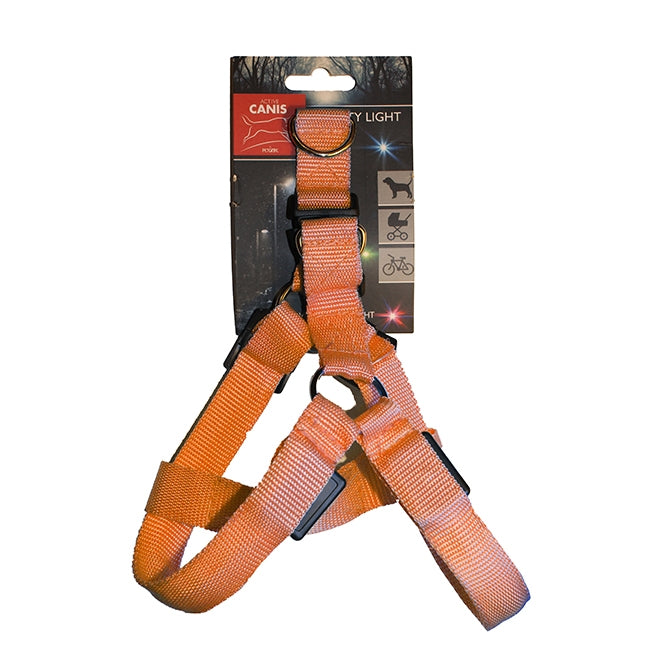Active Canis Led Light Harness Orange M - Hundsele med Lampa