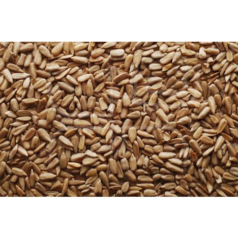 Skalat Solrosfrö 3 kg - Fågelmat